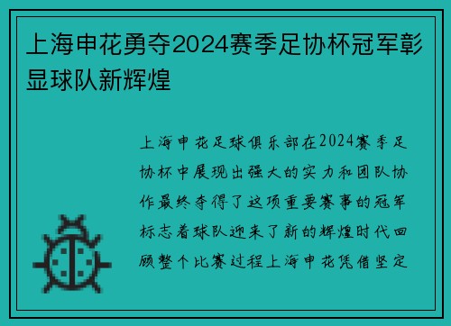 上海申花勇夺2024赛季足协杯冠军彰显球队新辉煌
